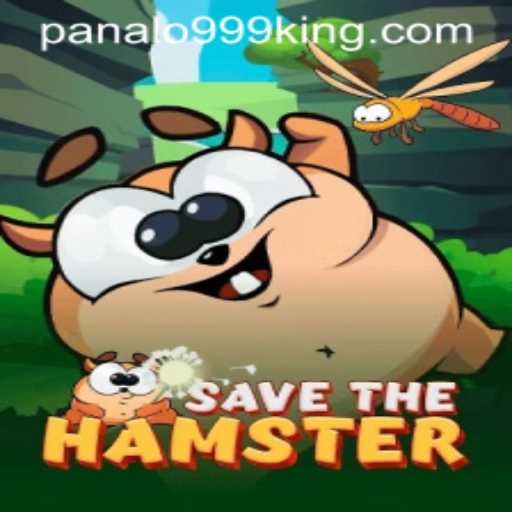Discovering the Adventure of SavetheHamster: A Dive into the Gameplay and Rules